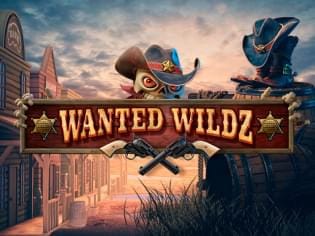 Wanted Wildz Extreme screenshot